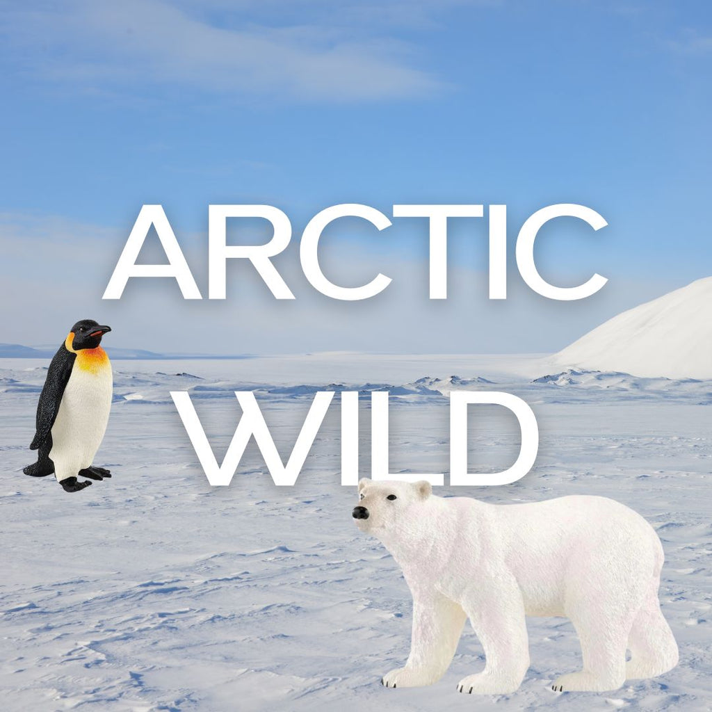 Arctic Wild