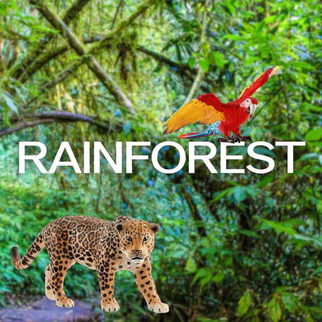 Rainforest