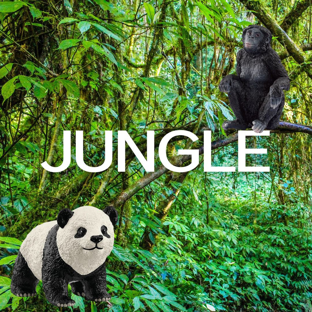 Jungle
