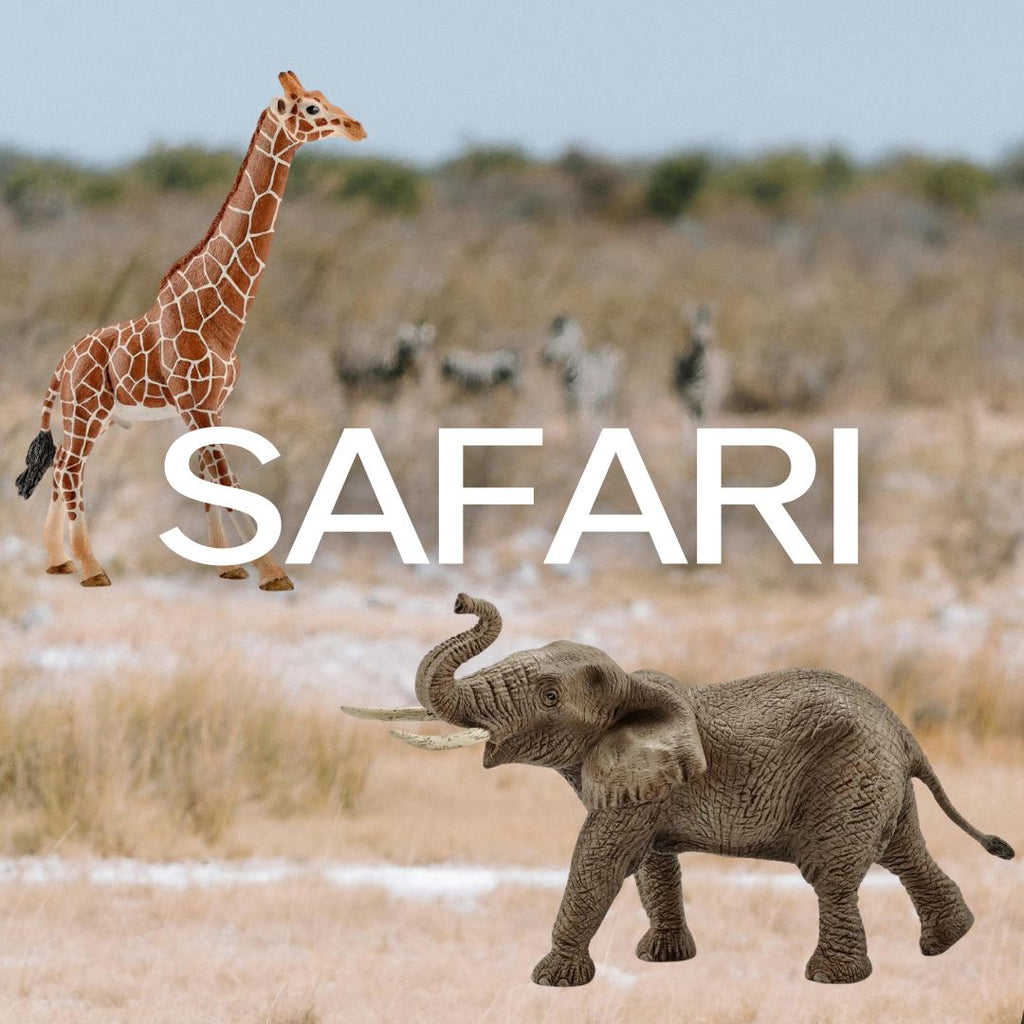 Safari