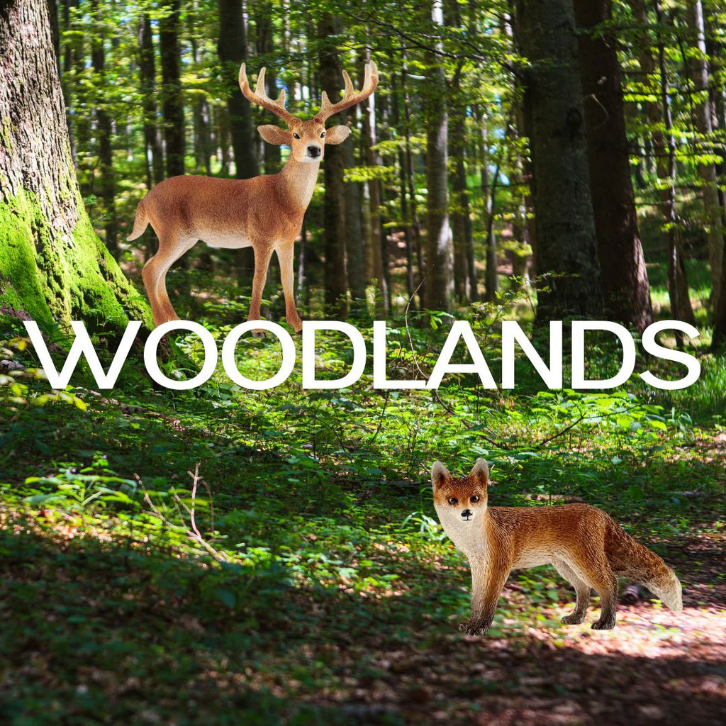 Woodlands